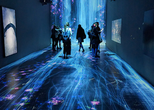 沉浸式投影在展館展廳的應(yīng)用場景