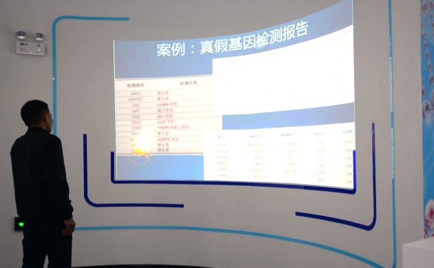 墻面互動投影翻書.jpg